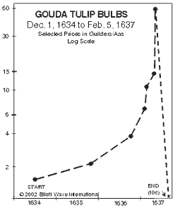 Dutch Tulip Bulb Bubble Chart